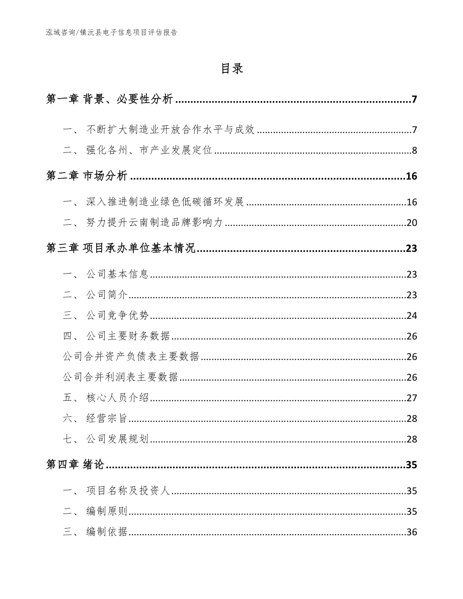 镇沅县电子信息项目评估报告_第1页