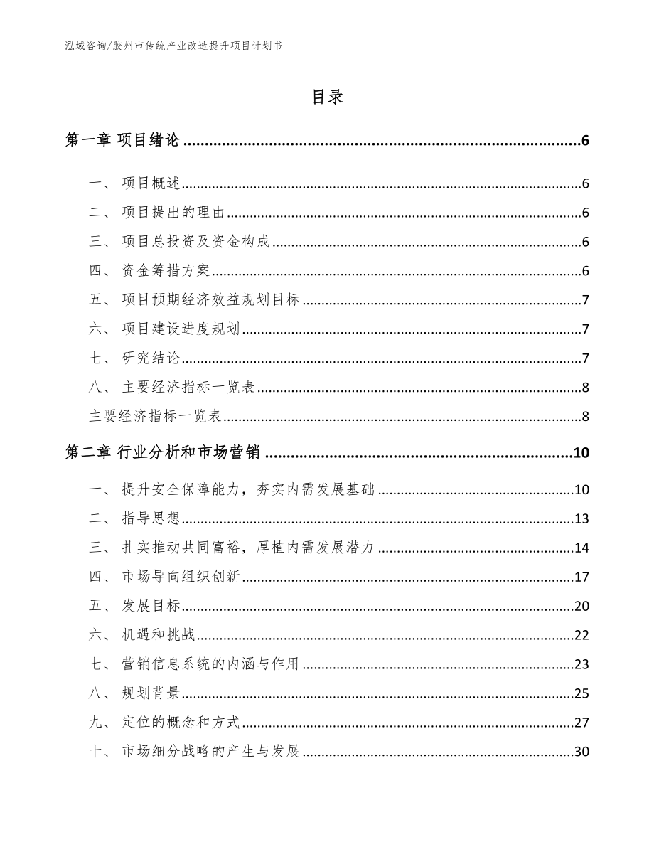 胶州市传统产业改造提升项目计划书_模板_第1页