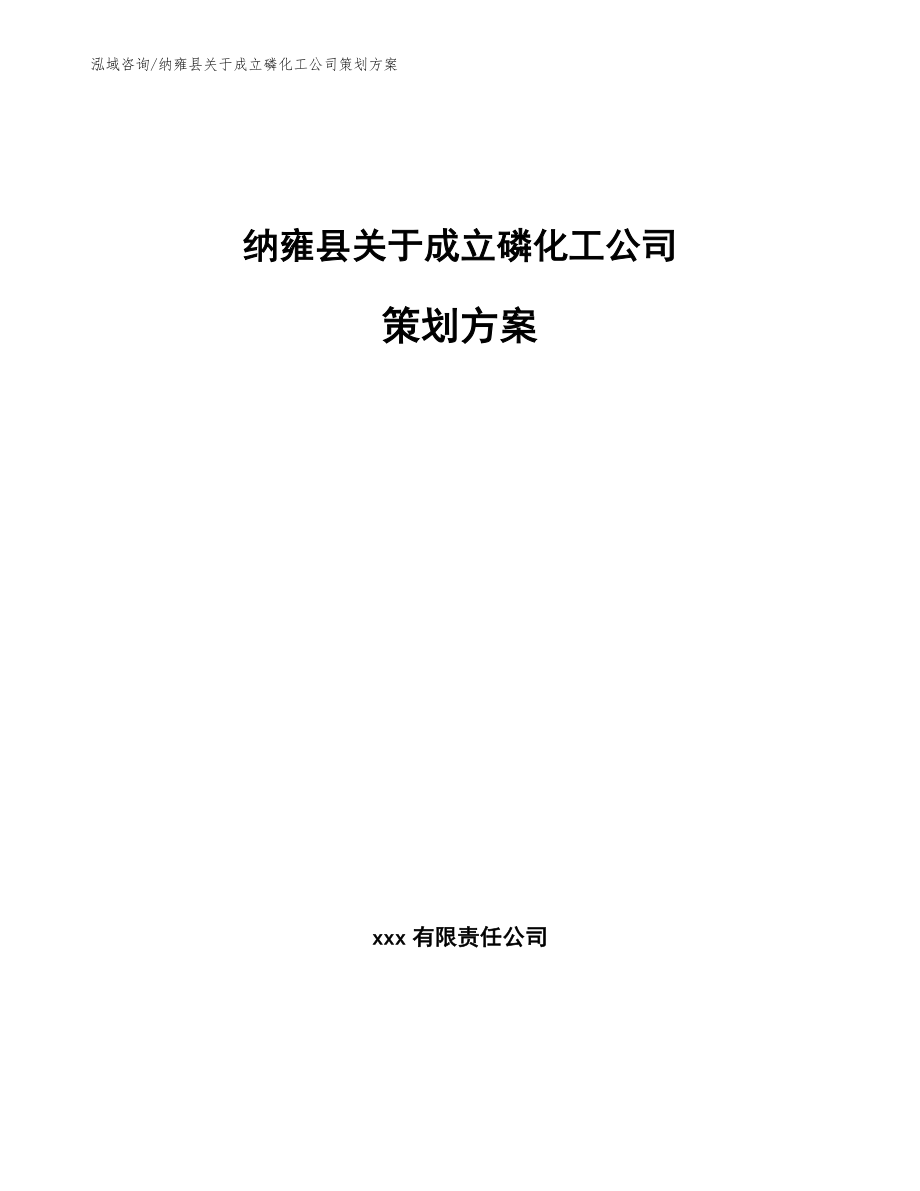 纳雍县关于成立磷化工公司策划方案_第1页