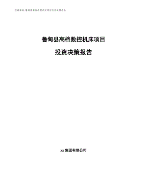 鲁甸县高档数控机床项目投资决策报告