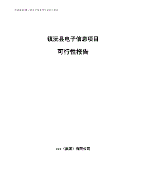 镇沅县电子信息项目可行性报告【参考范文】