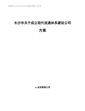 长沙市关于成立现代流通体系建设公司方案（范文模板）