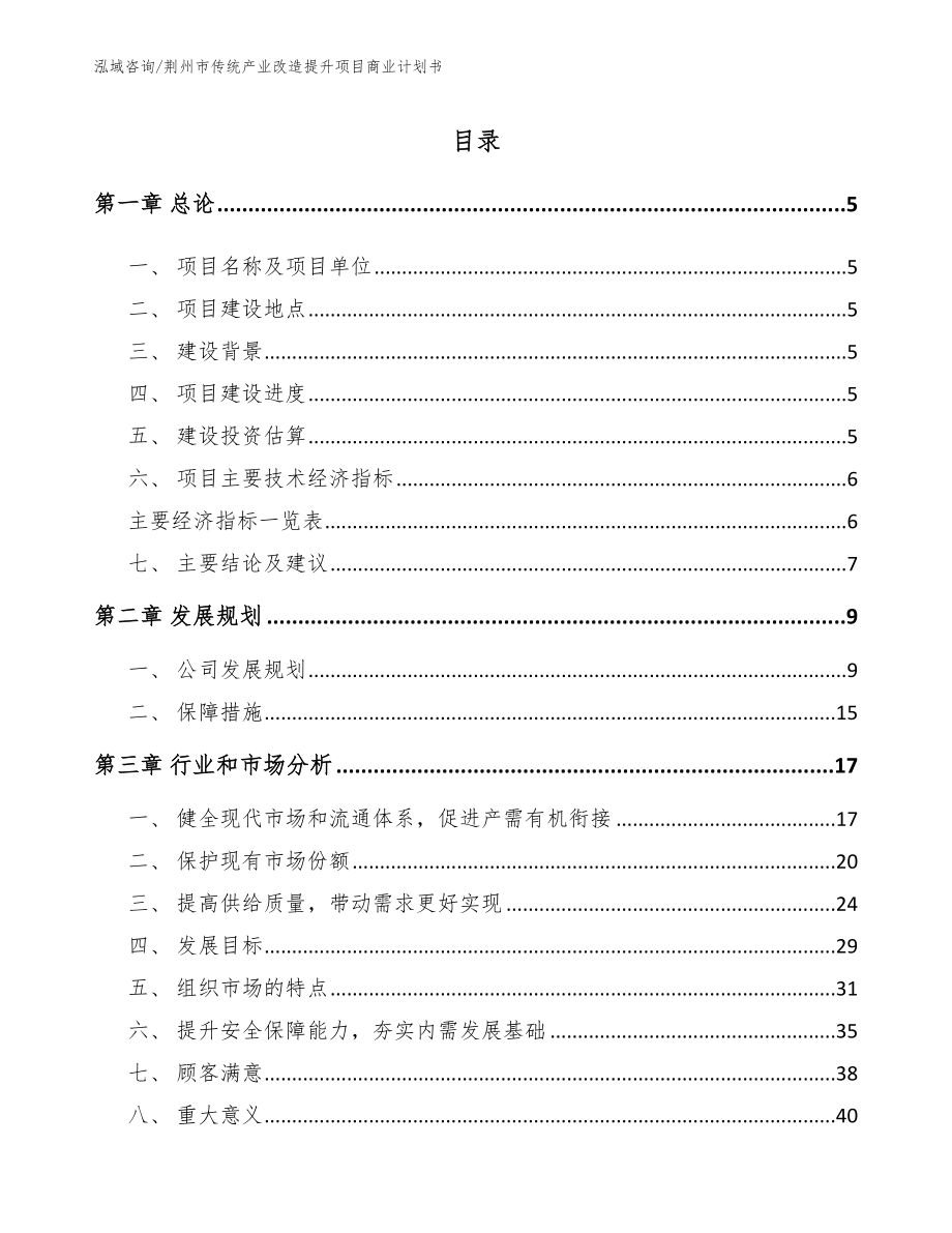 荆州市传统产业改造提升项目商业计划书_范文模板_第1页