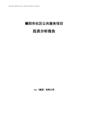 襄阳市社区公共服务项目投资分析报告【参考范文】
