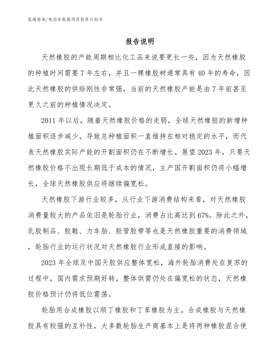 电动车轮胎项目投资计划书_第1页