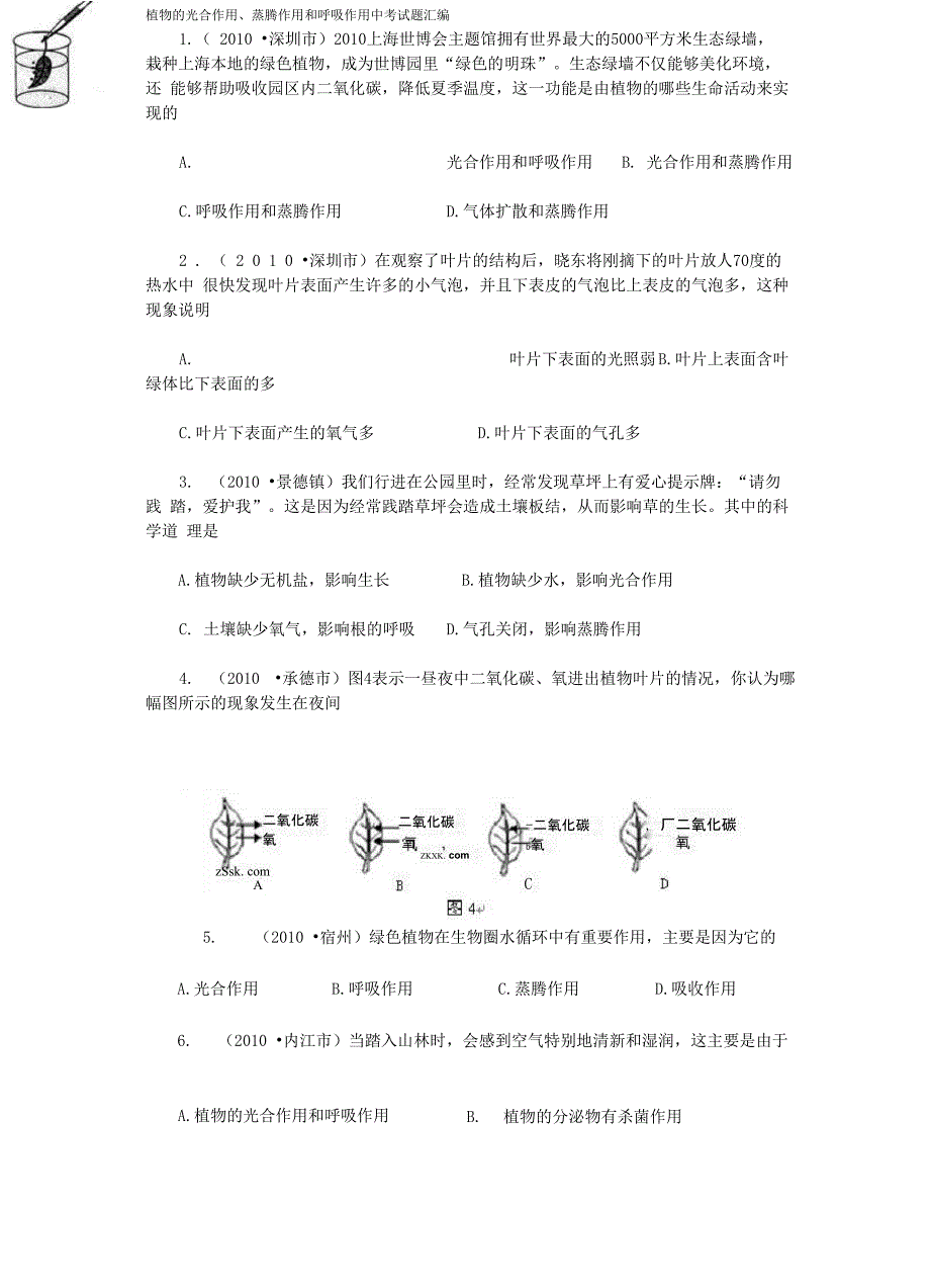 植物的光合作用_第1页