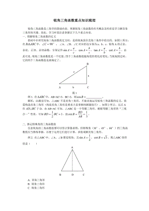 锐角三角函数重点知识梳理(教育精品)