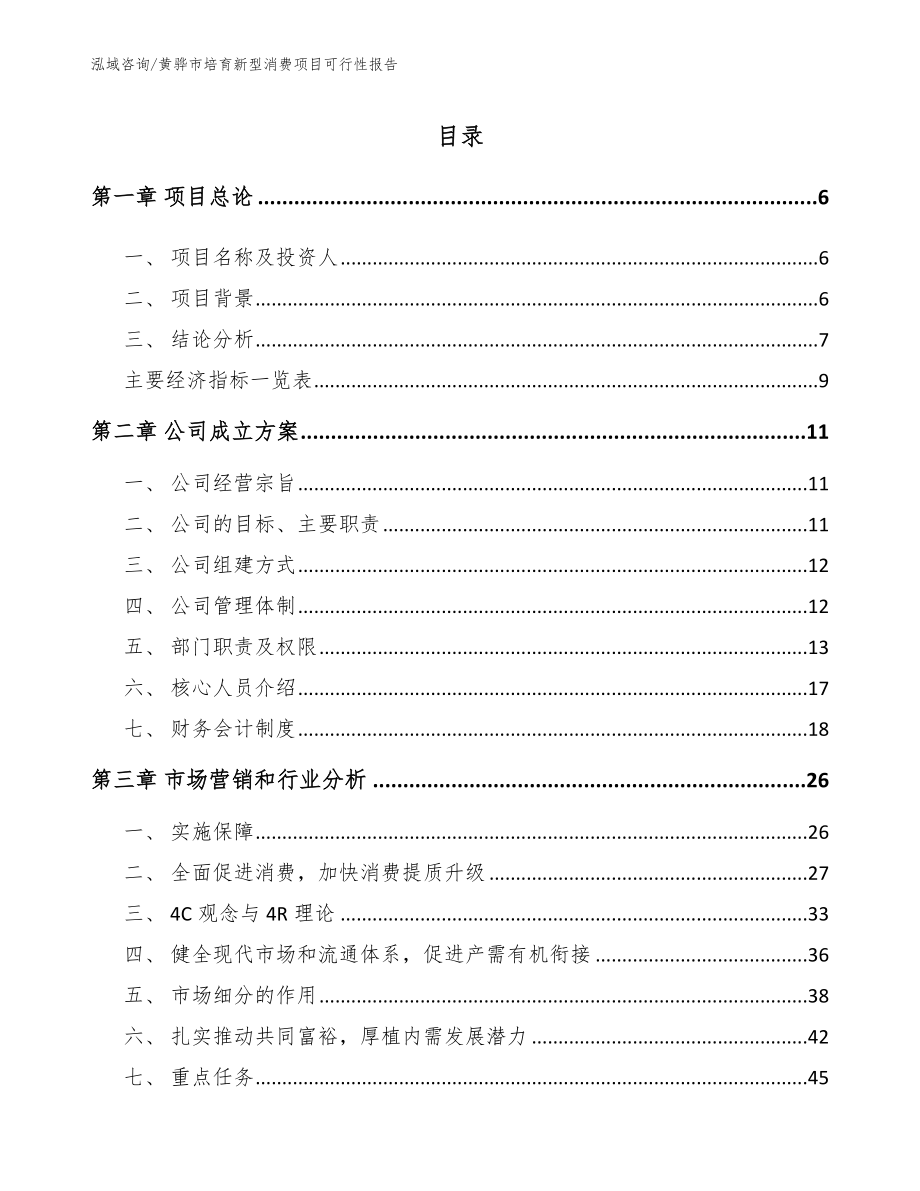 黄骅市培育新型消费项目可行性报告_参考范文_第1页