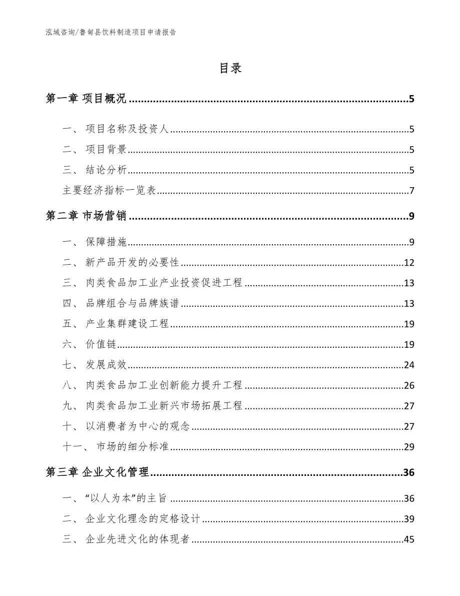 鲁甸县饮料制造项目申请报告_第1页
