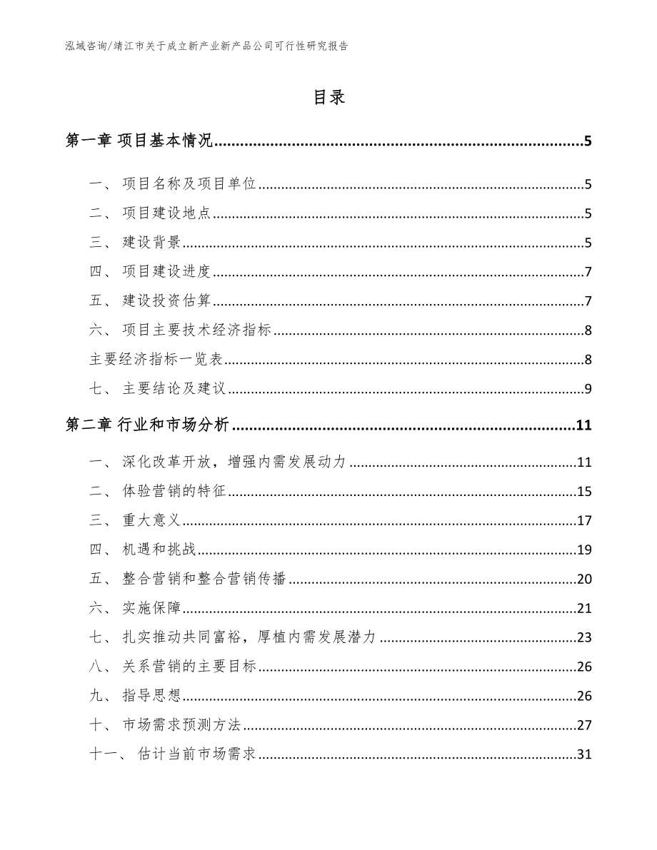 靖江市关于成立新产业新产品公司可行性研究报告（范文）_第1页
