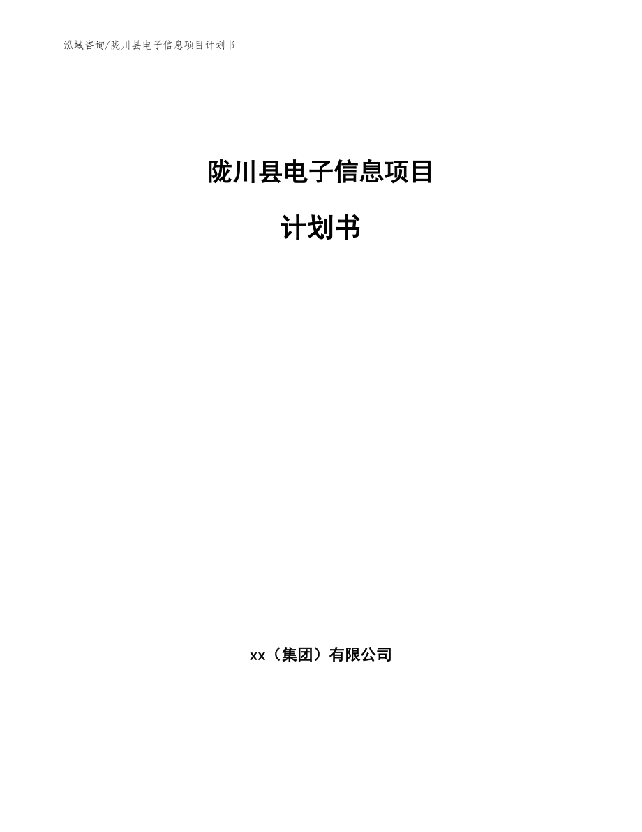 陇川县电子信息项目计划书_参考模板_第1页