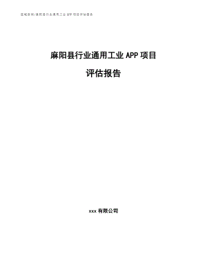 麻阳县行业通用工业APP项目评估报告
