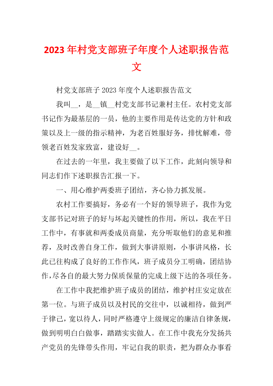 2023年村党支部班子年度个人述职报告范文_第1页