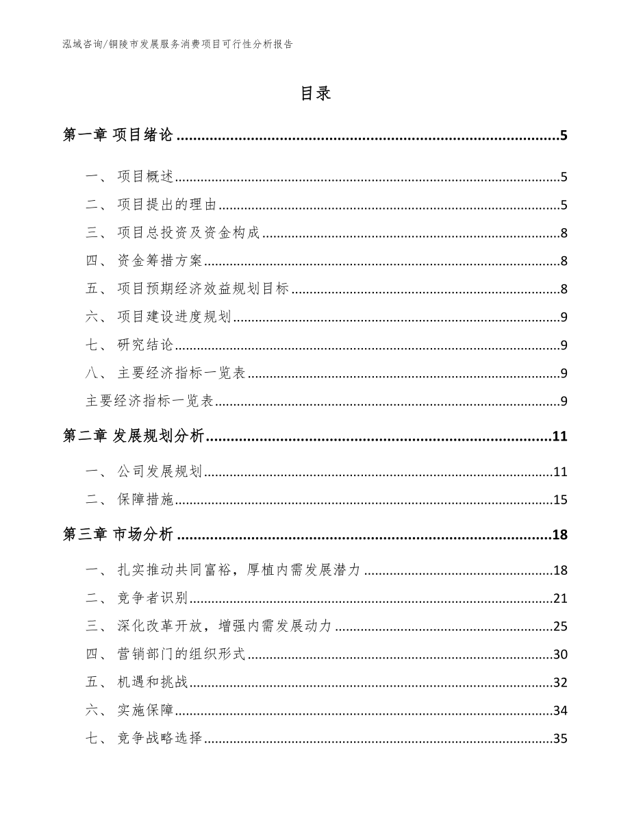 铜陵市发展服务消费项目可行性分析报告_范文_第1页