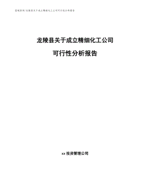 龙陵县关于成立精细化工公司可行性分析报告