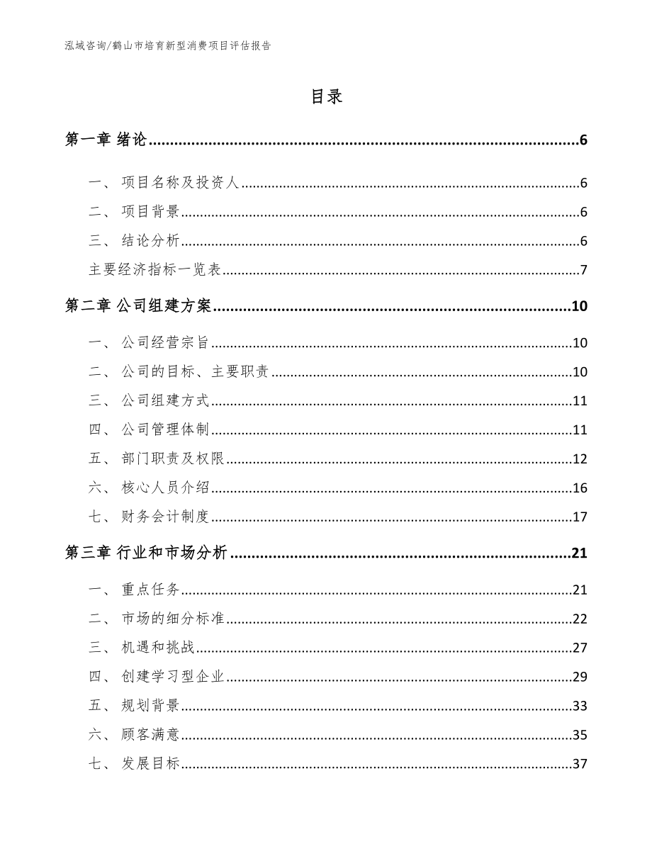 鹤山市培育新型消费项目评估报告【模板范本】_第1页