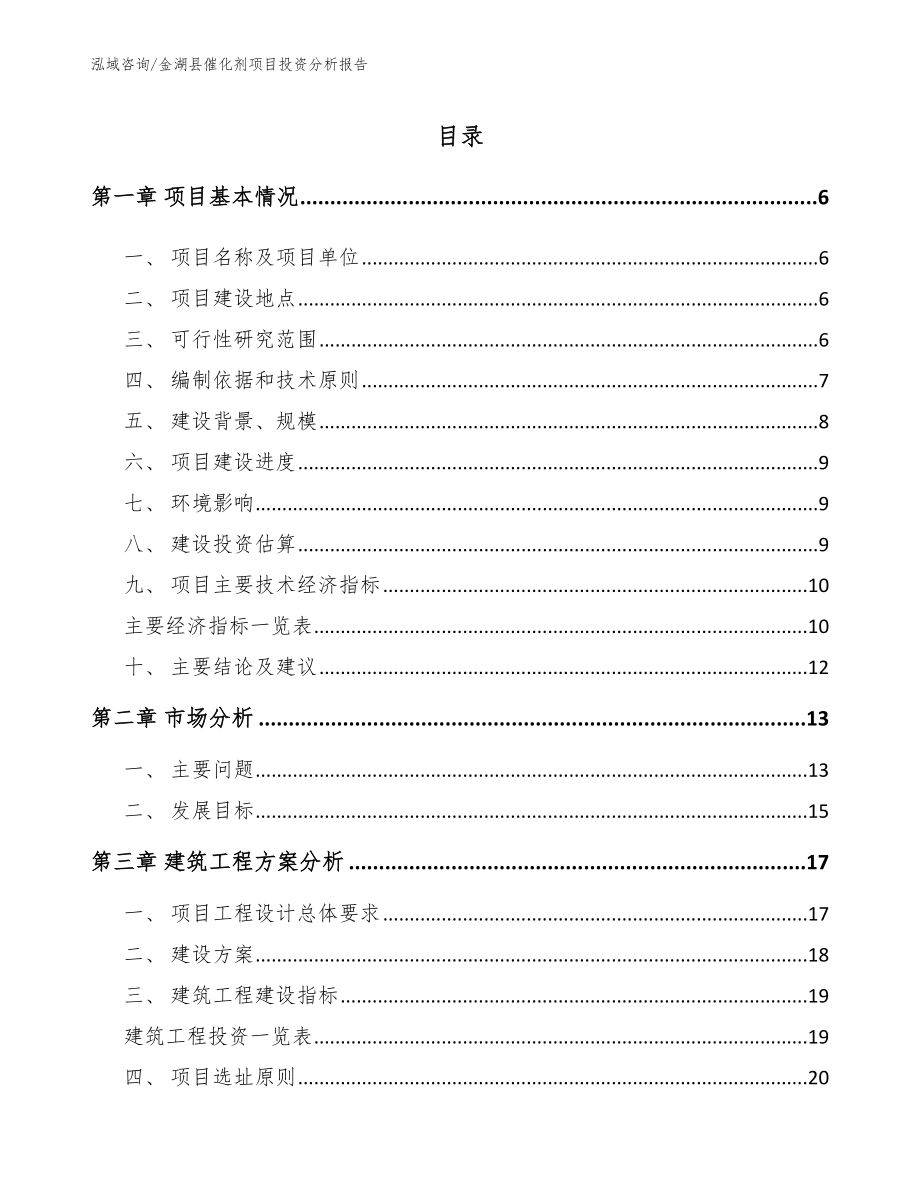 金湖县催化剂项目投资分析报告【模板参考】_第1页