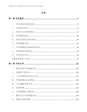 龙山县基础共性工业APP项目可行性分析报告