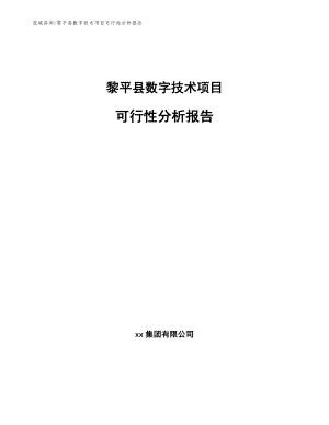 黎平县数字技术项目可行性分析报告【模板】