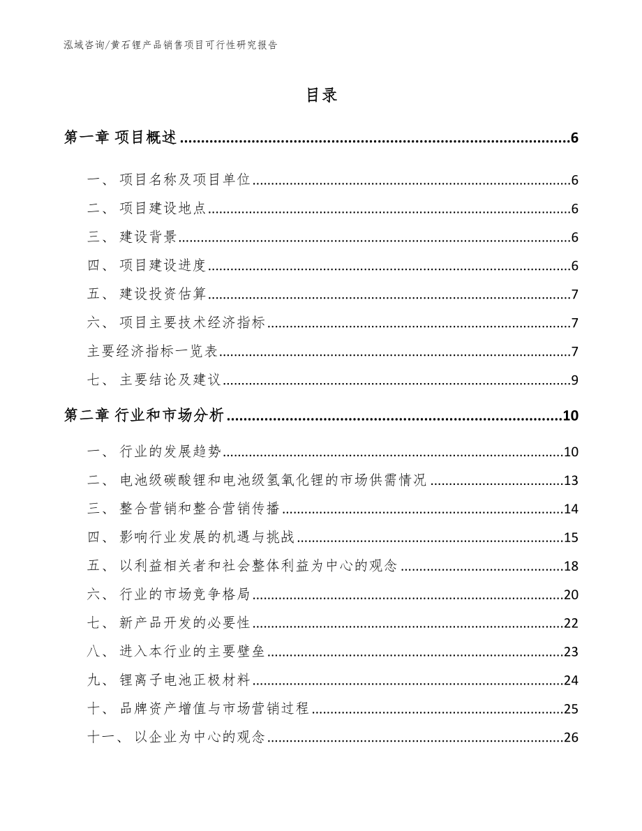 黄石锂产品销售项目可行性研究报告模板范文_第1页