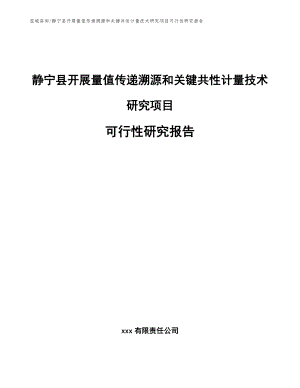 静宁县开展量值传递溯源和关键共性计量技术研究项目可行性研究报告_模板参考