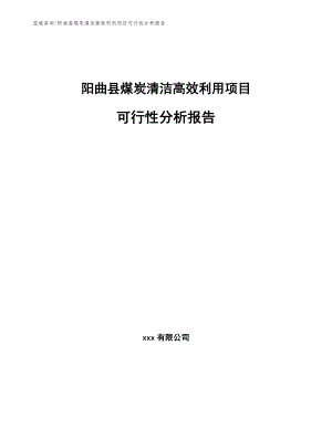 阳曲县煤炭清洁高效利用项目可行性分析报告【参考范文】