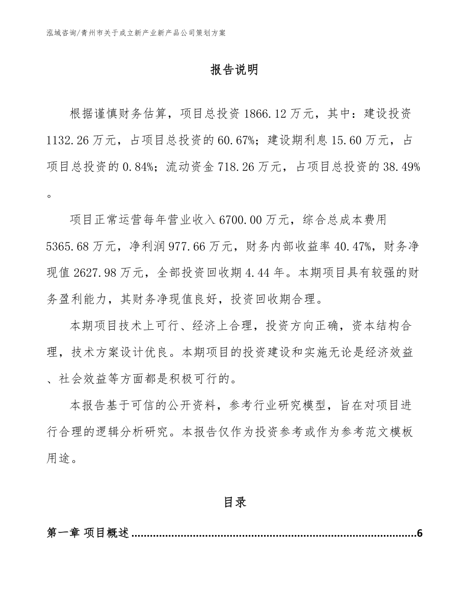 青州市关于成立新产业新产品公司策划方案_第1页