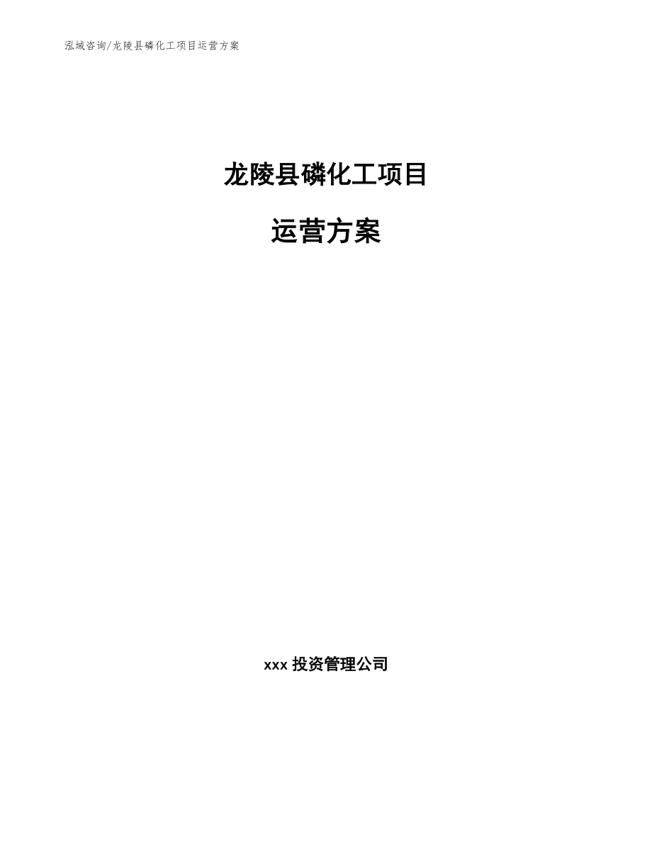 龙陵县磷化工项目运营方案_参考范文_第1页