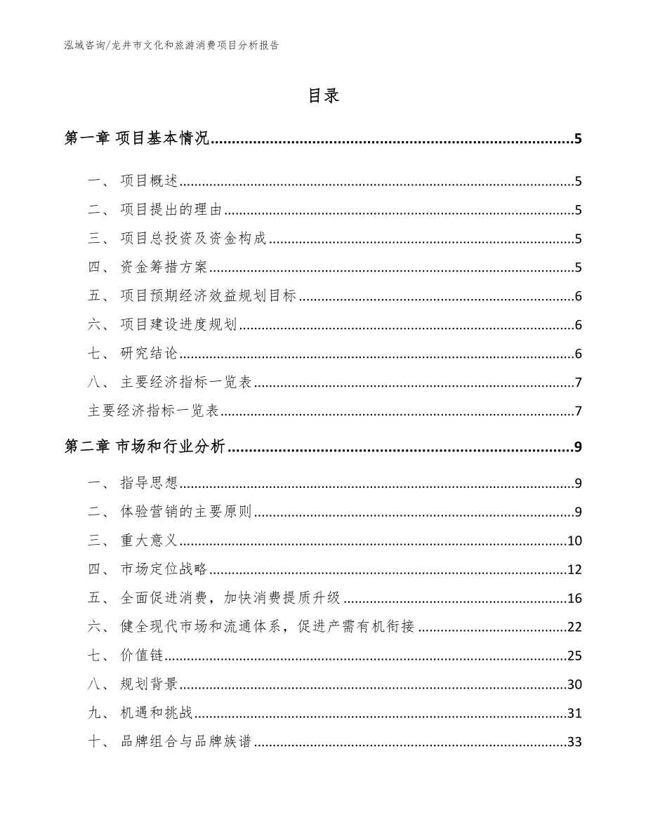 龙井市文化和旅游消费项目分析报告_范文_第1页