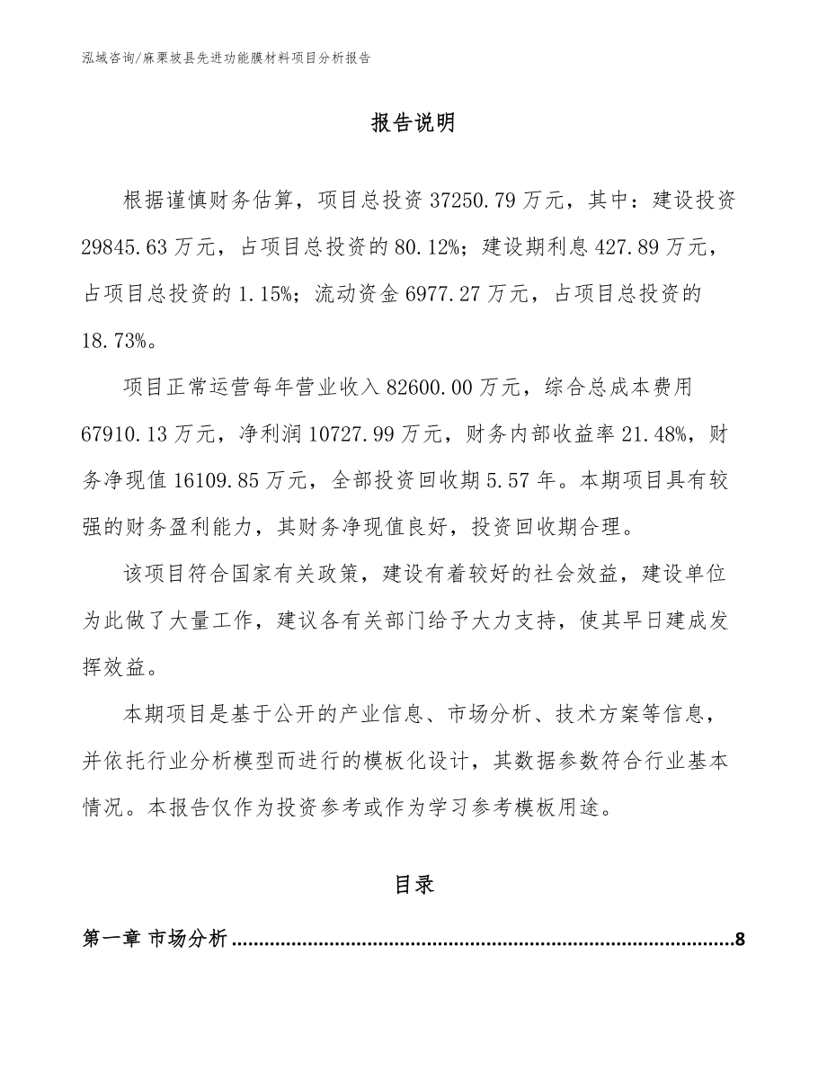 麻栗坡县先进功能膜材料项目分析报告_第1页