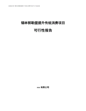 锡林郭勒盟提升传统消费项目可行性报告_范文参考
