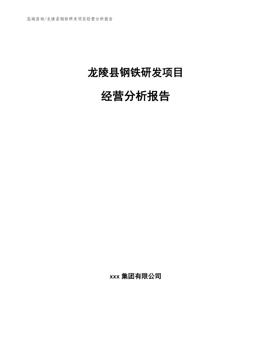 龙陵县钢铁研发项目经营分析报告模板范本_第1页