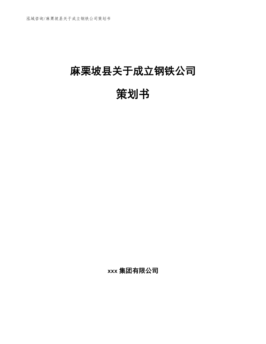 麻栗坡县关于成立钢铁公司策划书_第1页