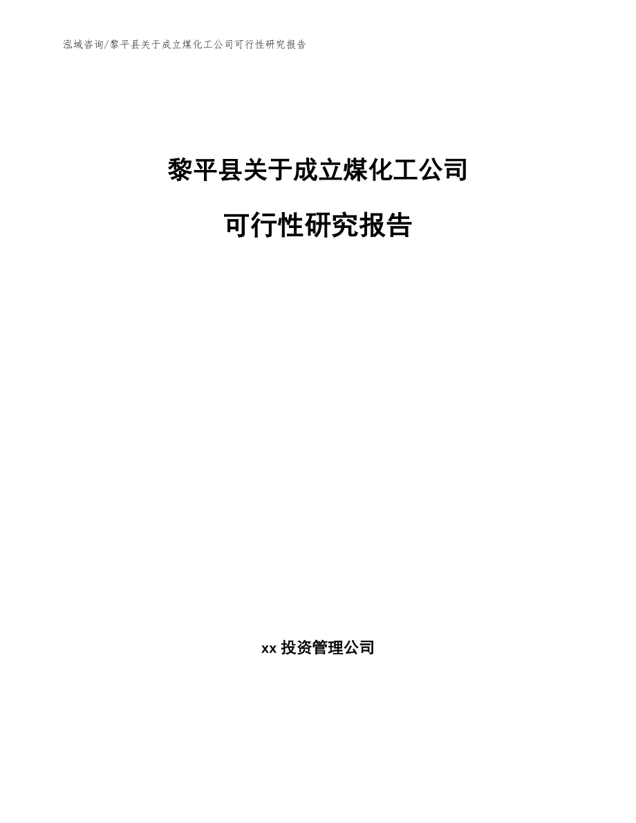 黎平县关于成立煤化工公司可行性研究报告【模板参考】_第1页