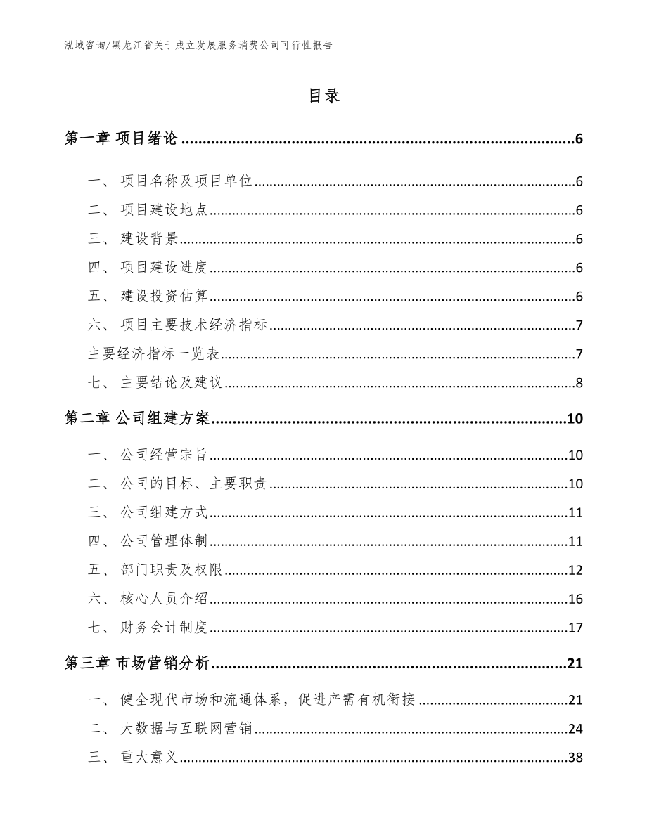 黑龙江省关于成立发展服务消费公司可行性报告_模板_第1页