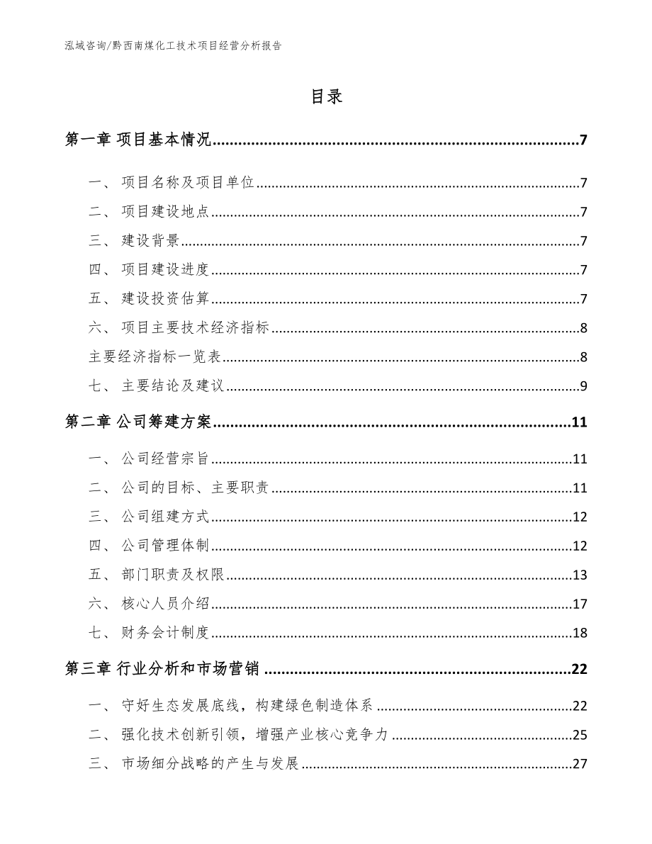 黔西南煤化工技术项目经营分析报告_第1页