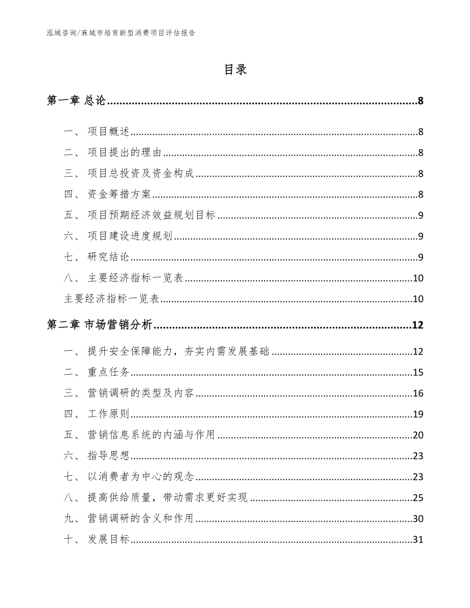 麻城市培育新型消费项目评估报告_模板参考_第1页