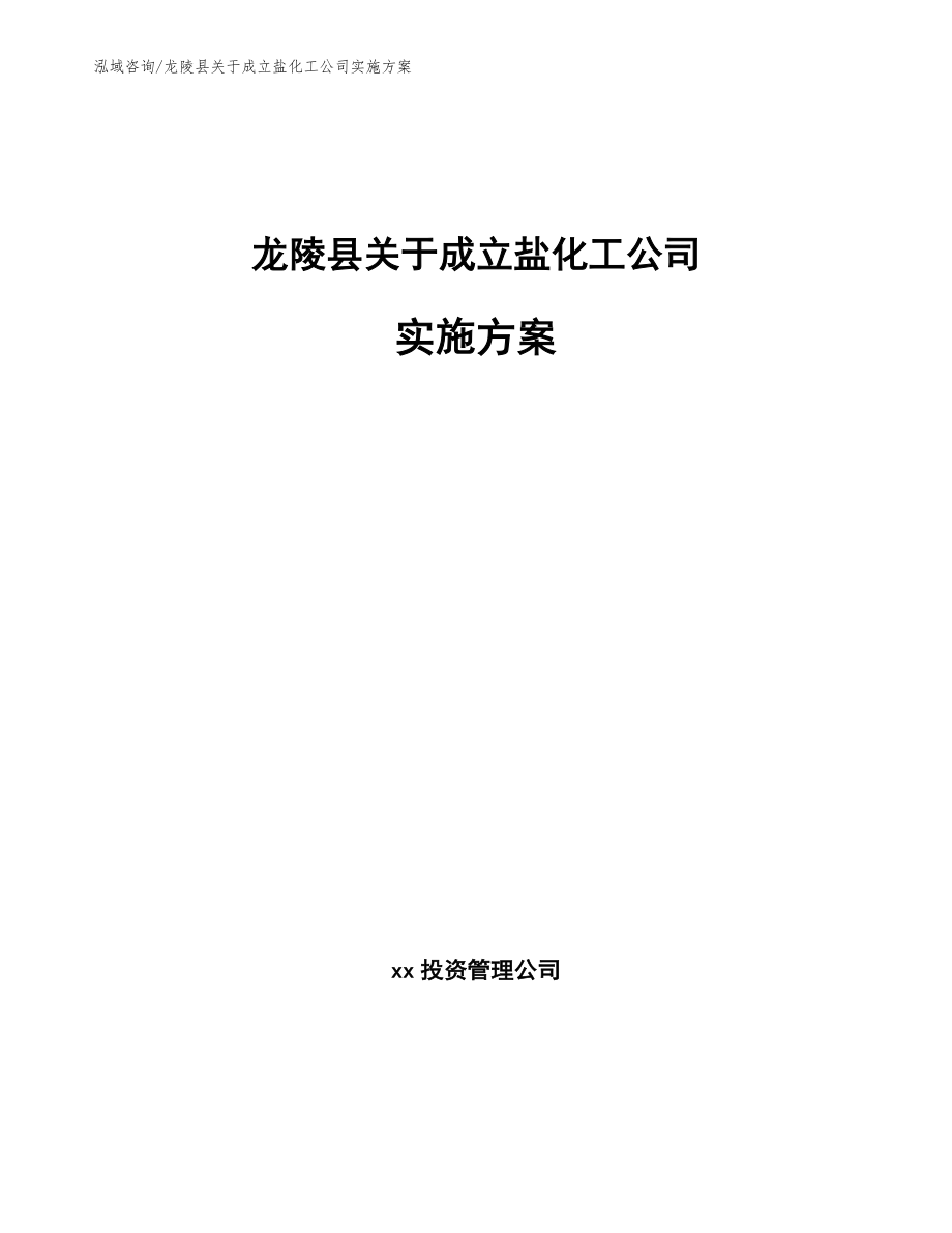 龙陵县关于成立盐化工公司实施方案【模板范本】_第1页