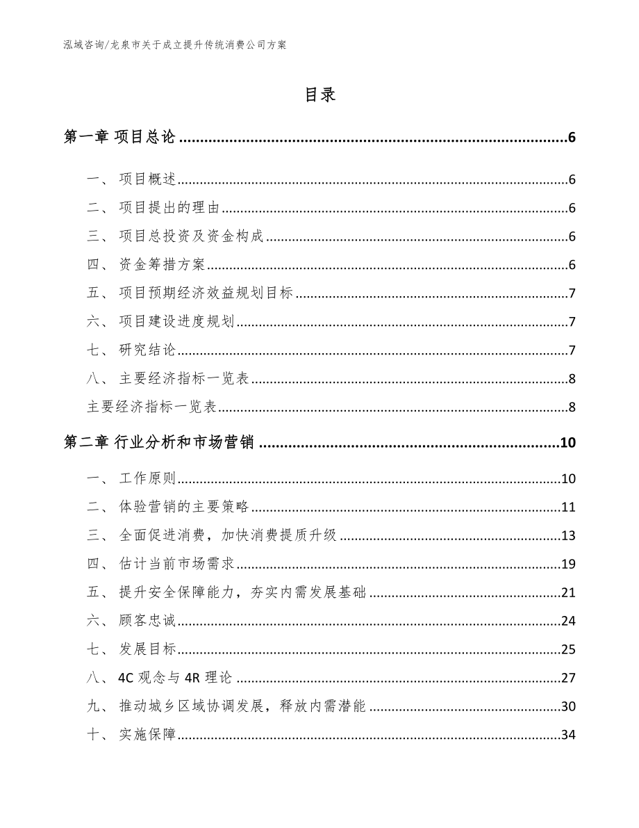 龙泉市关于成立提升传统消费公司方案_模板_第1页