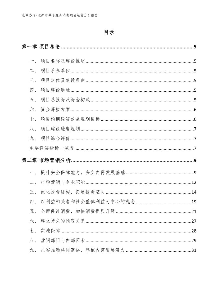 龙井市共享经济消费项目经营分析报告_第1页