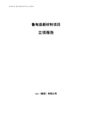鲁甸县新材料项目立项报告（模板范文）