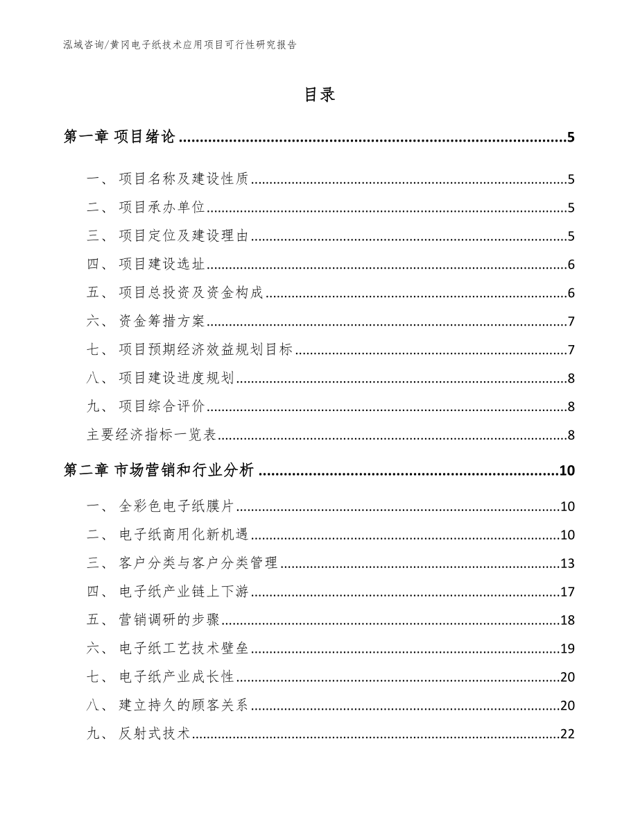 黄冈电子纸技术应用项目可行性研究报告_第1页