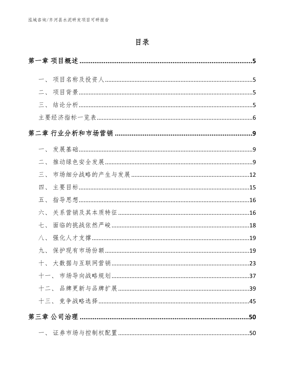 齐河县水泥研发项目可研报告范文模板_第1页