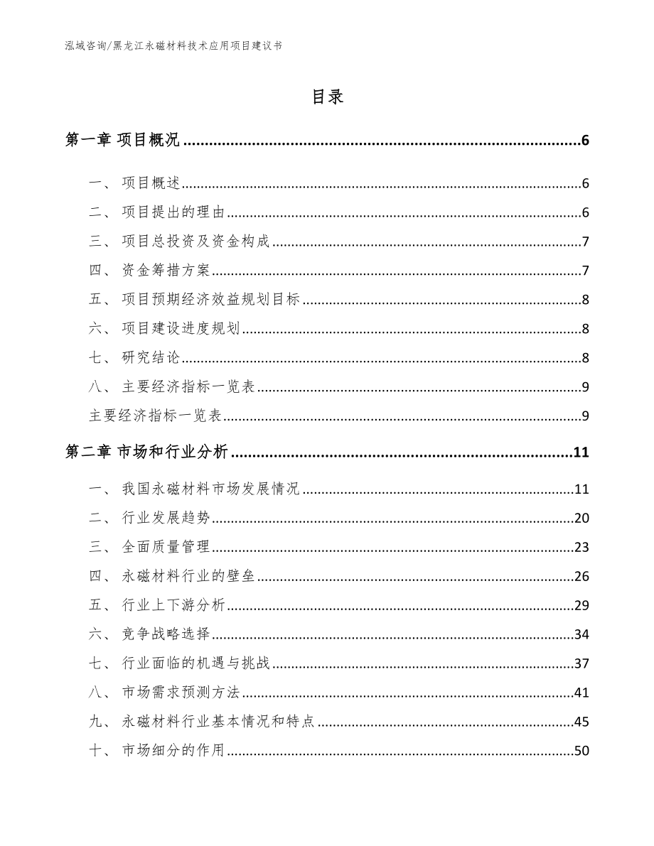 黑龙江永磁材料技术应用项目建议书模板范本_第1页