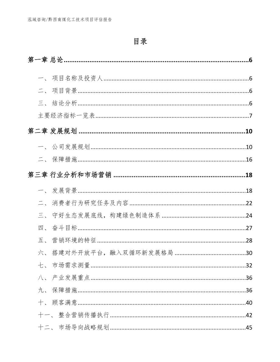 黔西南煤化工技术项目评估报告（范文参考）_第1页