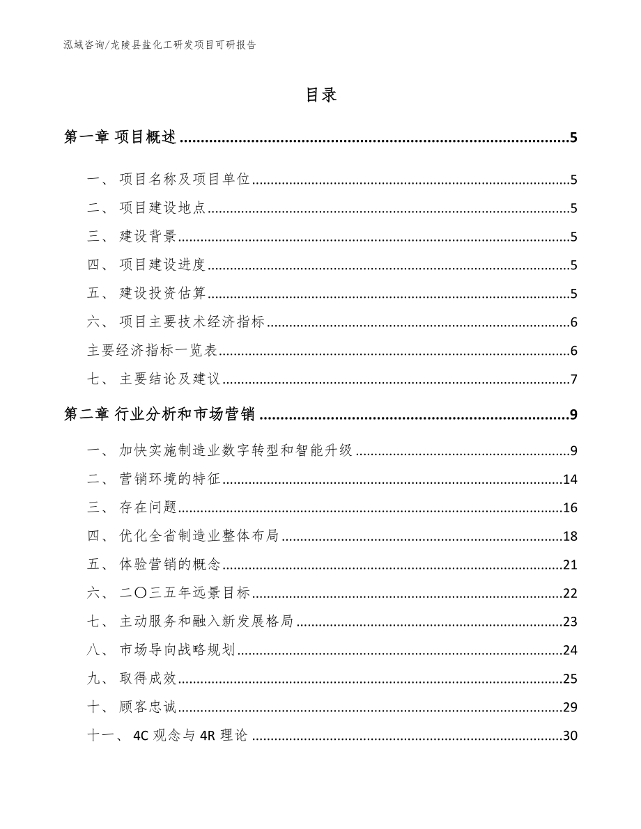 龙陵县盐化工研发项目可研报告_参考模板_第1页