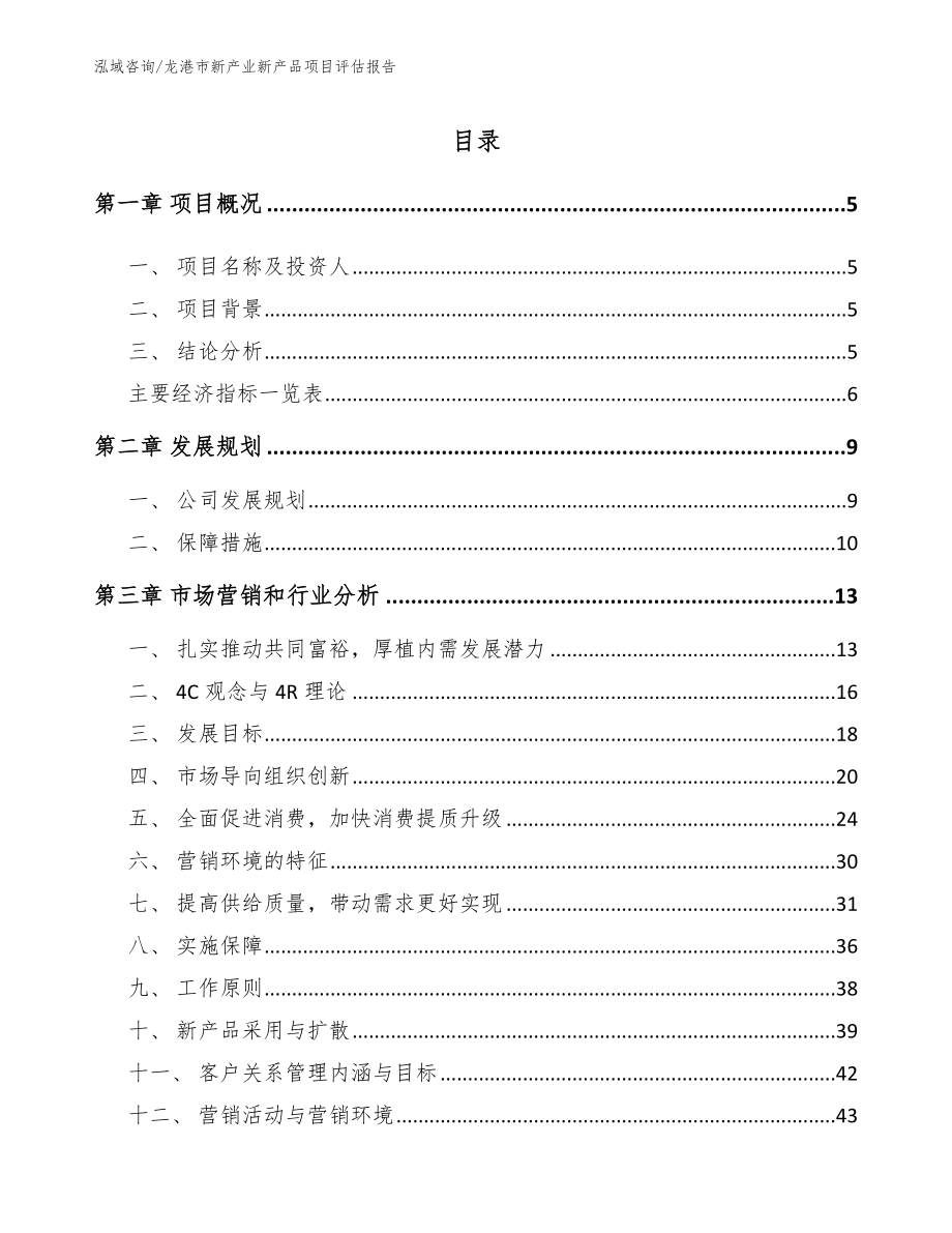 龙港市新产业新产品项目评估报告_模板_第1页