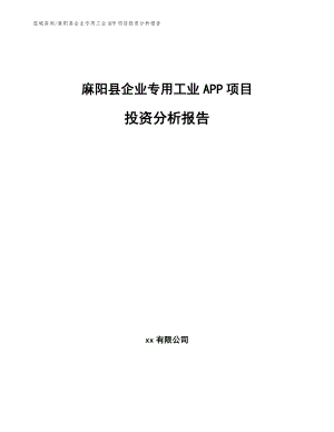 麻阳县企业专用工业APP项目投资分析报告【范文模板】