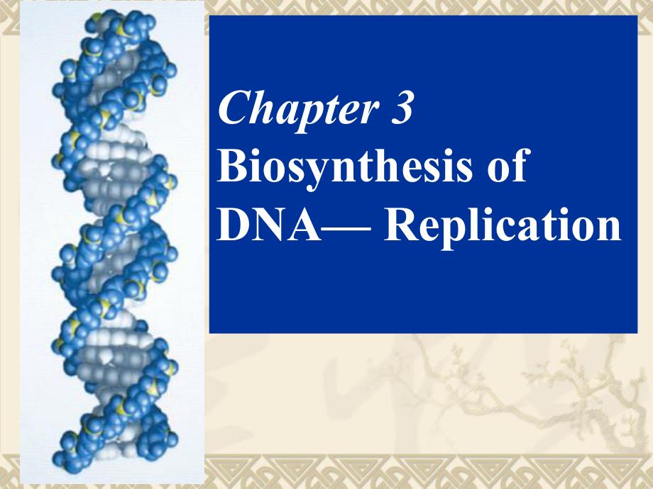 分子生物学英文版课件：Chapter3 Biosynthesis ofDNA— Replication_第1页