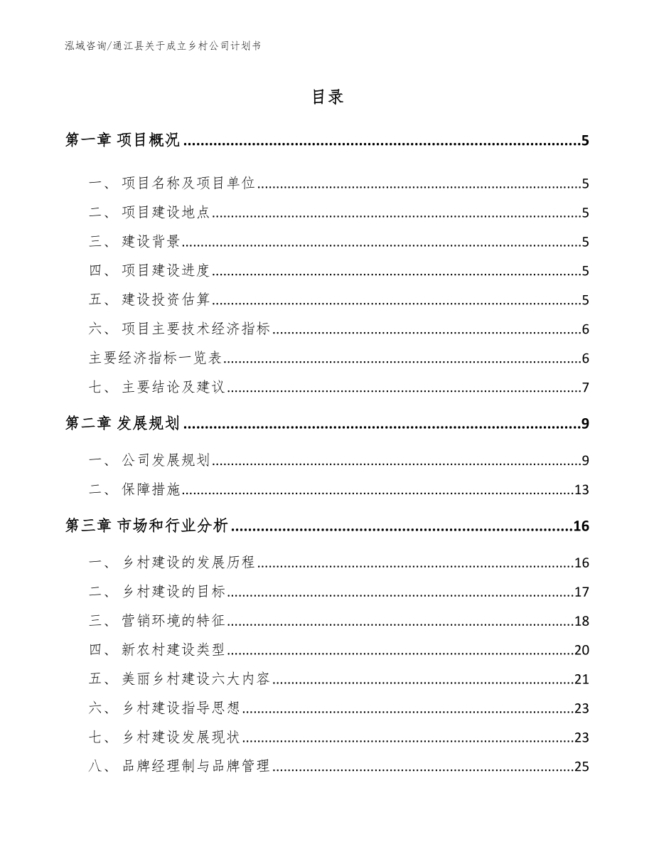 通江县关于成立乡村公司计划书（范文参考）_第1页